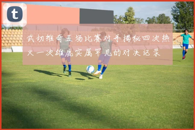 武切维奇五场比赛对手揭秘四次热火一次雄鹿实属罕见的对决记录