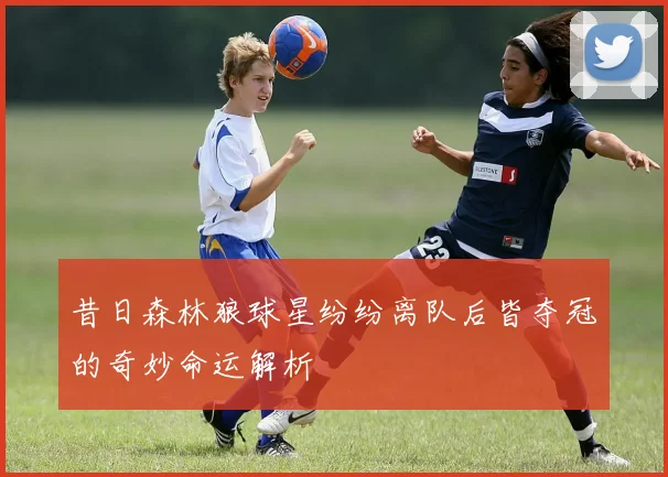 昔日森林狼球星纷纷离队后皆夺冠的奇妙命运解析