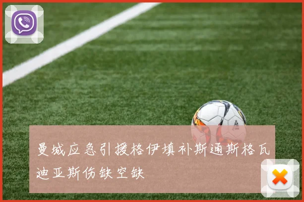 曼城应急引援格伊填补斯通斯格瓦迪亚斯伤缺空缺